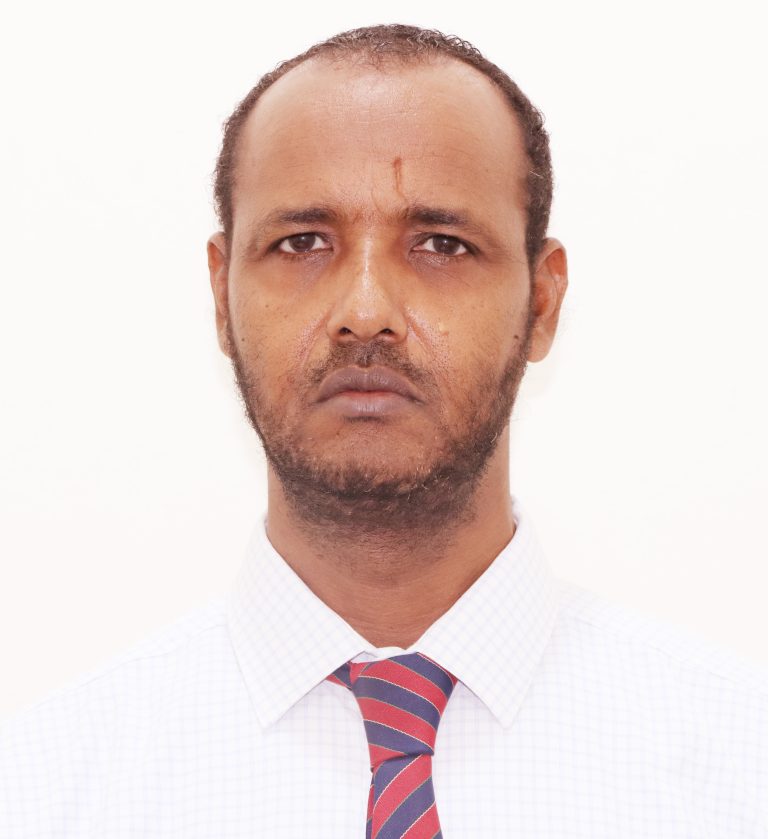 Dr. Abdinur Sheikh Mohamed